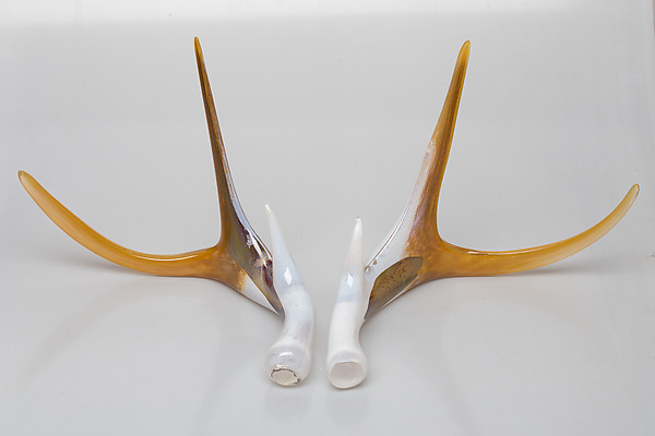 Art Glass Antler Set by Grant Garmezy (Art Glass Sculpture) | Artful Home Art Glass Antler Set by Grant Garmezy (Art Glass Sculpture) | Artful Home