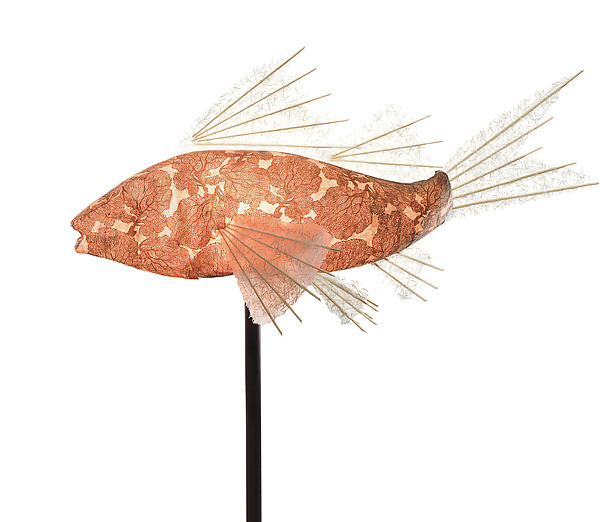 Copper Coral Koi Lamp by Linda Fisher (Mixed-Media Lamp) | Artful Home Copper Coral Koi Lamp by Linda Fisher (Mixed-Media Lamp) | Artful Home