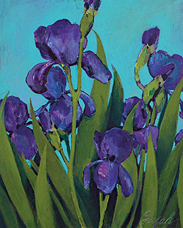 Iris by Sarah Samuelson (Giclee Print) | Artful Home Iris by Sarah Samuelson (Giclee Print) | Artful Home