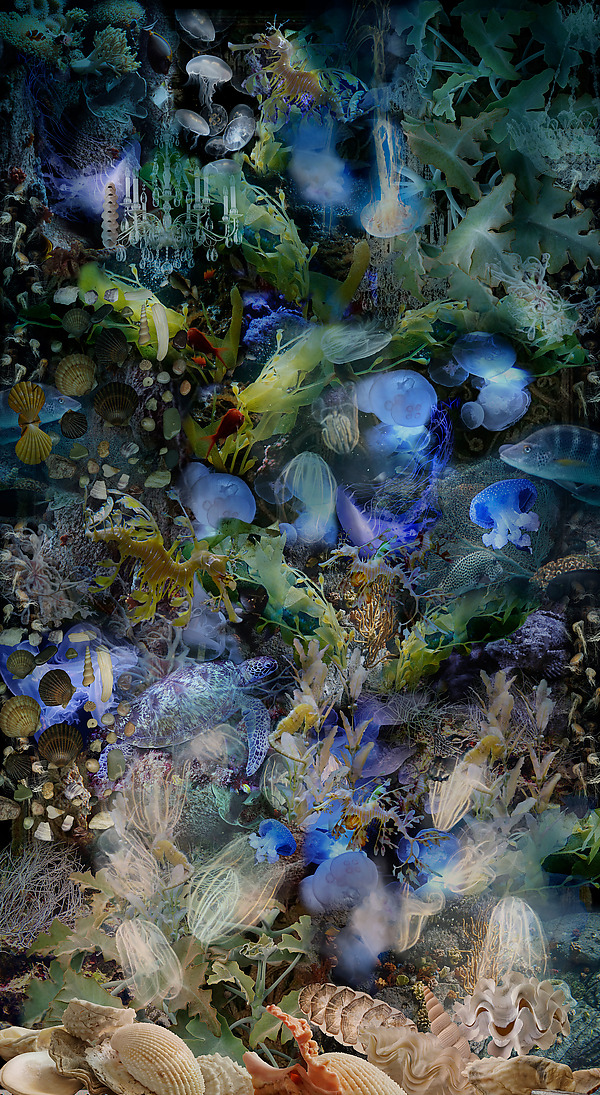 To Cast Aside the Weight of Facts by Lisa A. Frank (Color Photograph) | Artful Home To Cast Aside the Weight of Facts by Lisa A. Frank (Color Photograph) | Artful Home
