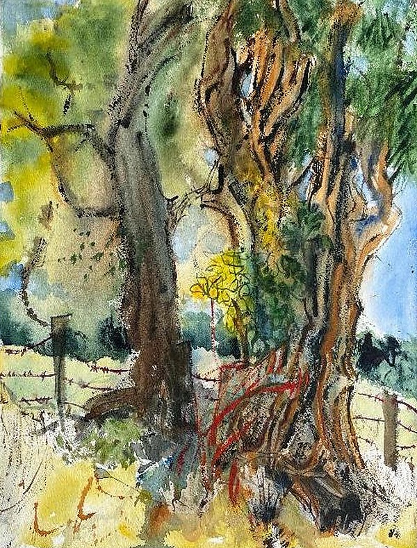 Two Old Trees on Ryan Road by Alix Travis (Watercolor Painting) | Artful Home Two Old Trees on Ryan Road by Alix Travis (Watercolor Painting) | Artful Home