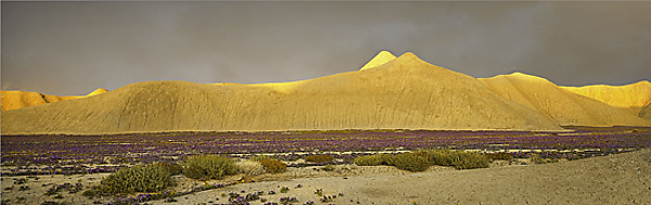 Bentonite Hills by Will Connor (Color Photograph) | Artful Home Bentonite Hills by Will Connor (Color Photograph) | Artful Home