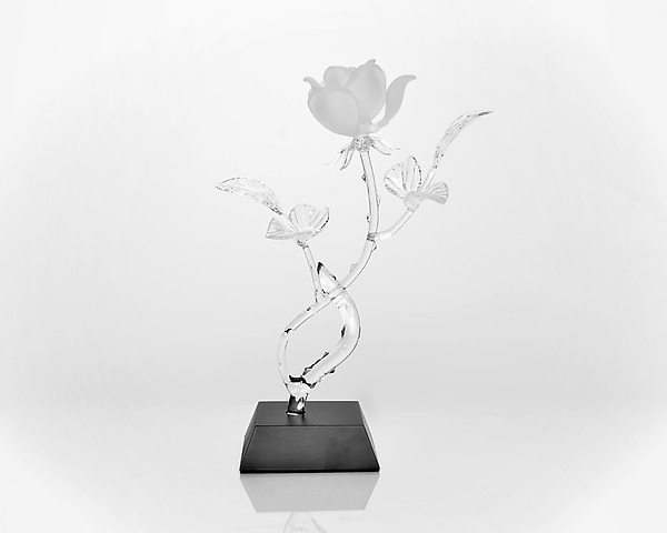 Rose by Hung Nguyen (Art Glass Sculpture) | Artful Home Rose by Hung Nguyen (Art Glass Sculpture) | Artful Home