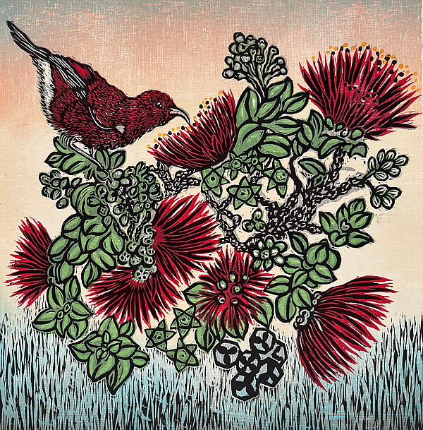 Apapane, Ohia Pollinator by Andrea Pro (Woodcut Print) | Artful Home Apapane, Ohia Pollinator by Andrea Pro (Woodcut Print) | Artful Home