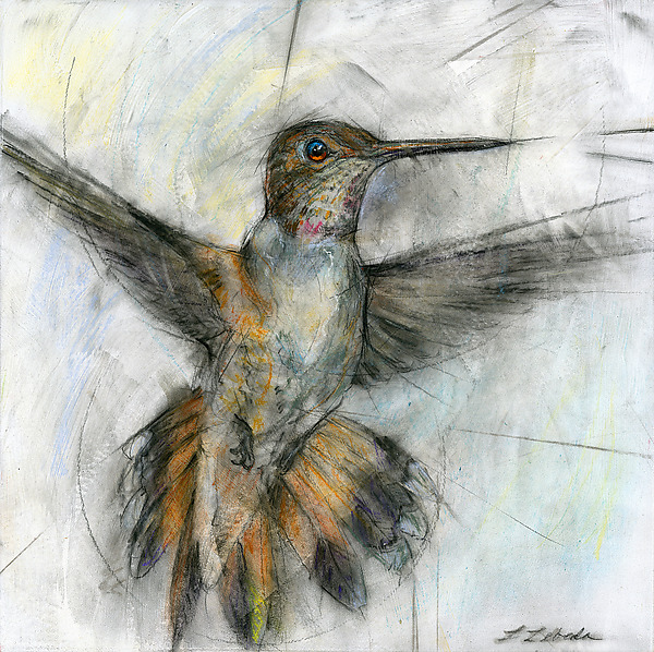 Hummingbird 002 by Laura Lebeda (Giclee Print) | Artful Home Hummingbird 002 by Laura Lebeda (Giclee Print) | Artful Home