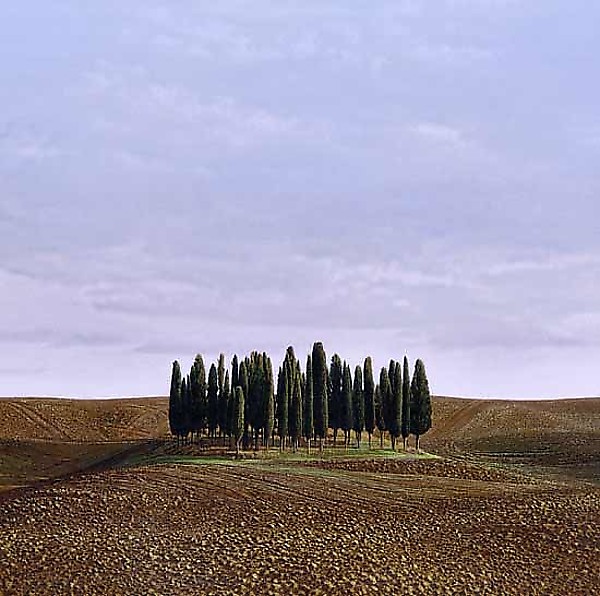 San Quirico D San Quirico D