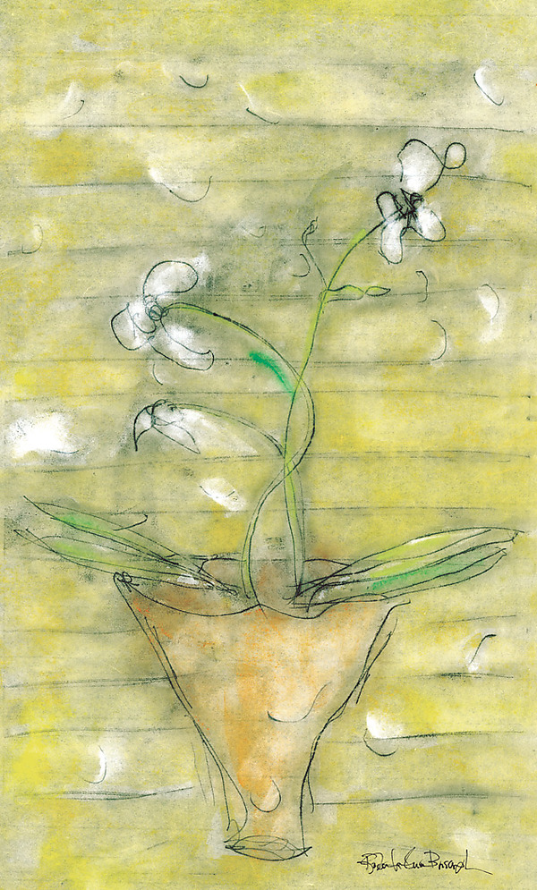 White Orchids with a Yellow Screen by Roberta Ann Busard (Giclee Print) | Artful Home White Orchids with a Yellow Screen by Roberta Ann Busard (Giclee Print) | Artful Home