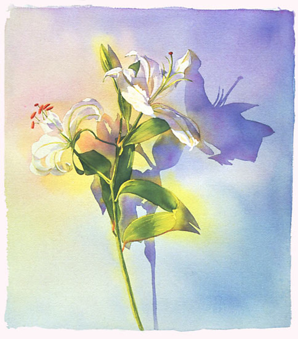 Lily by Marlies Merk Najaka (Giclée Print) | Artful Home Lily by Marlies Merk Najaka (Giclée Print) | Artful Home