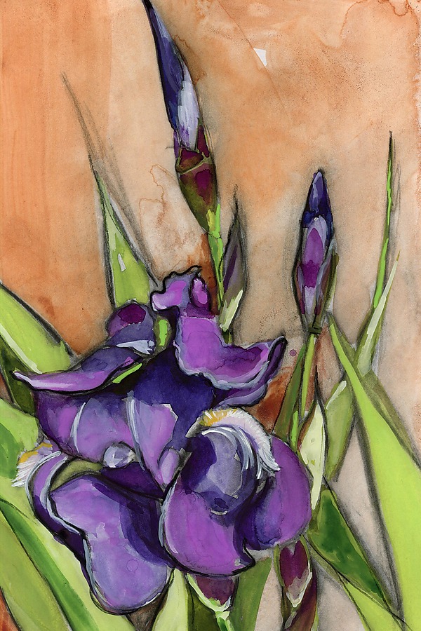 Purple Iris by Denise Souza Finney (Watercolor Painting) | Artful Home