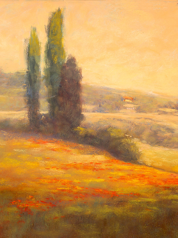 Tuscan Poplars by Allan Stephenson (Giclee Print) | Artful Home