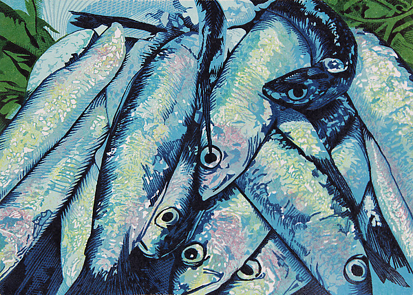 Sardines by William Hays (Linocut Print) | Artful Home