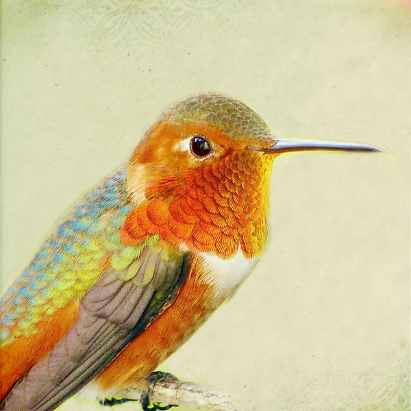 Gaze Into Your Eyes II by Yuko Ishii (Color Photograph) | Artful Home