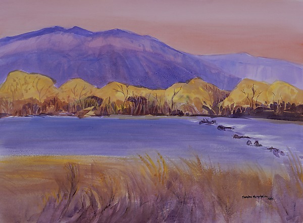 Cottonwoods Across the Rio Grande by Sandra Humphries (Watercolor Painting) | Artful Home