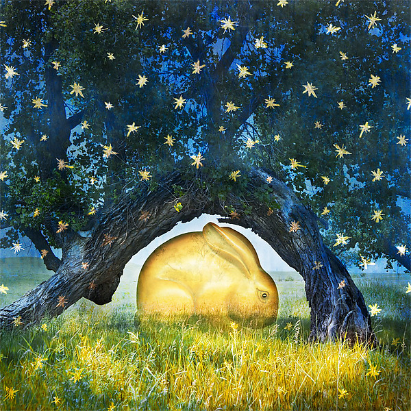 FittingIn by Patricia Barry Levy (Pigment Print) | Artful Home