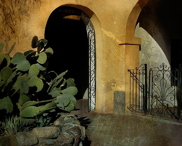 Light to Dark to Light by Eugenie Torgerson (Color Photograph) | Artful Home
