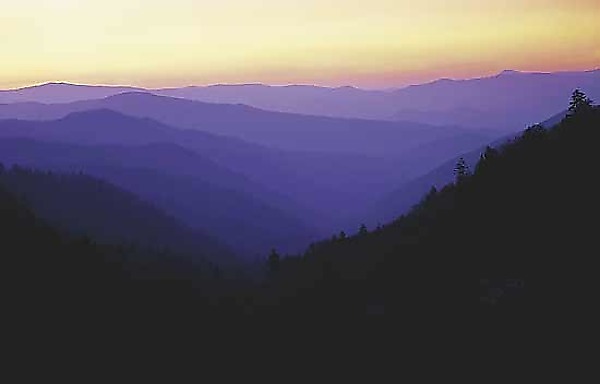 Dawn by Will Connor (Color Photograph) | Artful Home