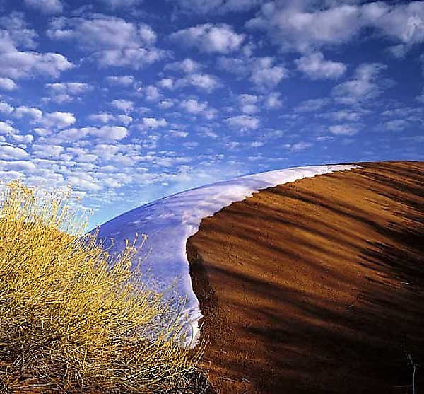 Dune, Melting Snow by Will Connor (Color Photograph) | Artful Home