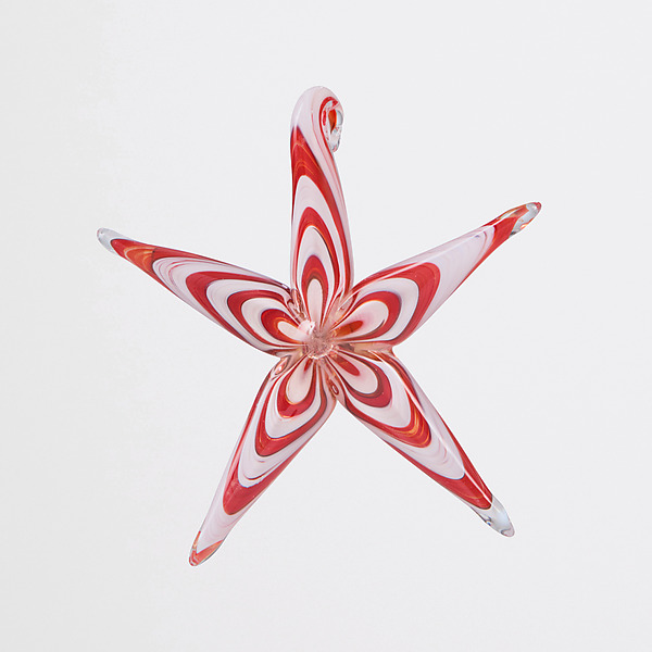 Festive Starfish by Michael Magyar (Art Glass Ornament) | Artful Home