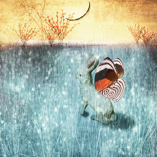 WinterSolstice by Patricia Barry Levy (Pigment Print) | Artful Home