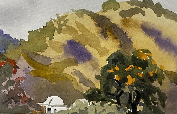 Postcard from Guatemala by Meredith Nemirov (Watercolor Painting) | Artful Home
