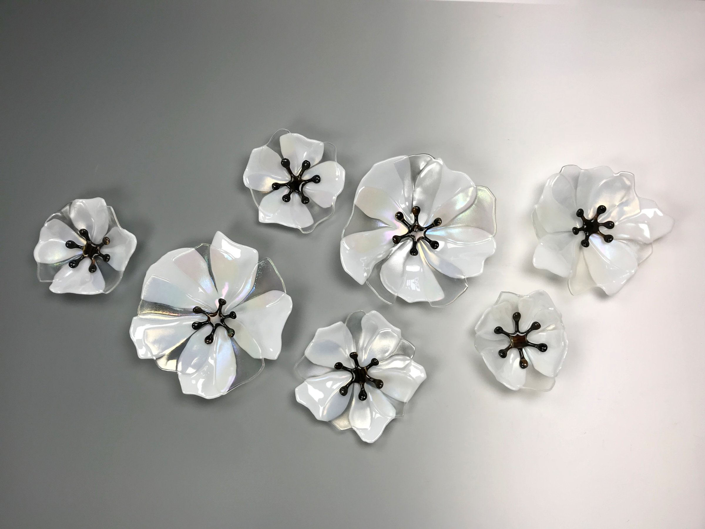 White Wallflowers by Lisa Becker (Art Glass Wall Sculpture) Artful Home