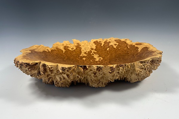 Yorrell Eucalyptus Burl Bowl by Steve Noggle (Wood Bowl) | Artful Home