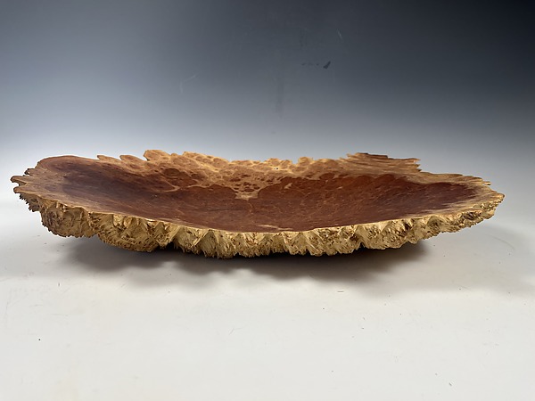 Red Mallee Eucalyptus Burl Bowl II by Steve Noggle (Wood Bowl) | Artful Home