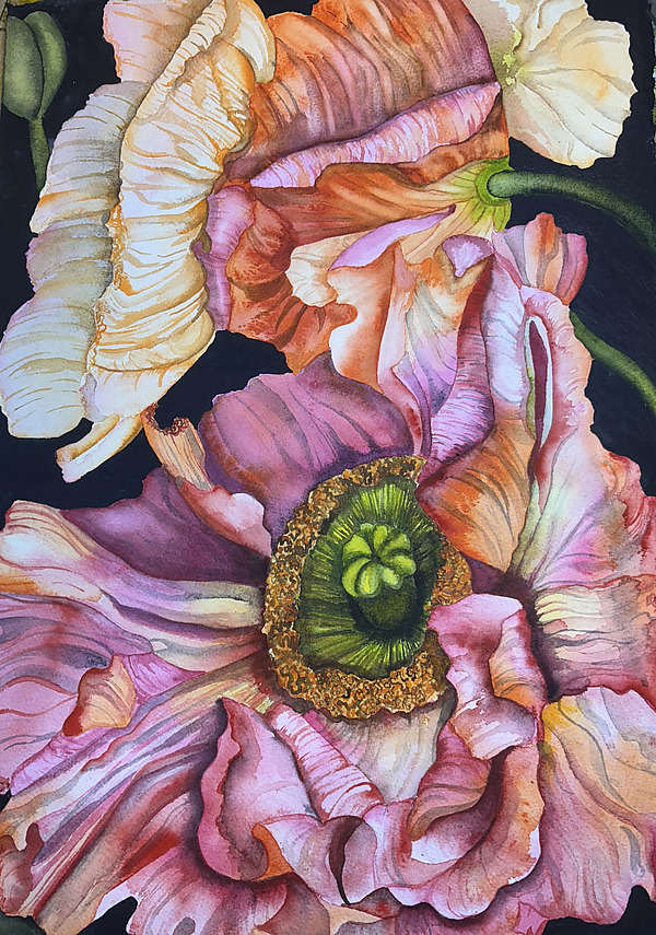 Butterfly Kisses by Mary Lyn Gough (Watercolor Painting) | Artful Home