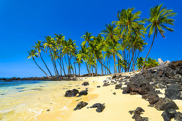 Mahaiula Beach by Matt Anderson (Color Photograph on Aluminum) | Artful Home