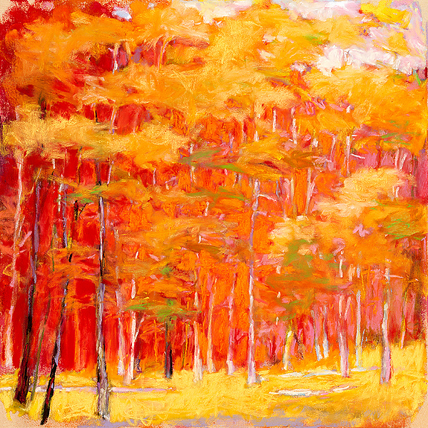 Yellows in Full by Ken Elliott (Giclee Print)