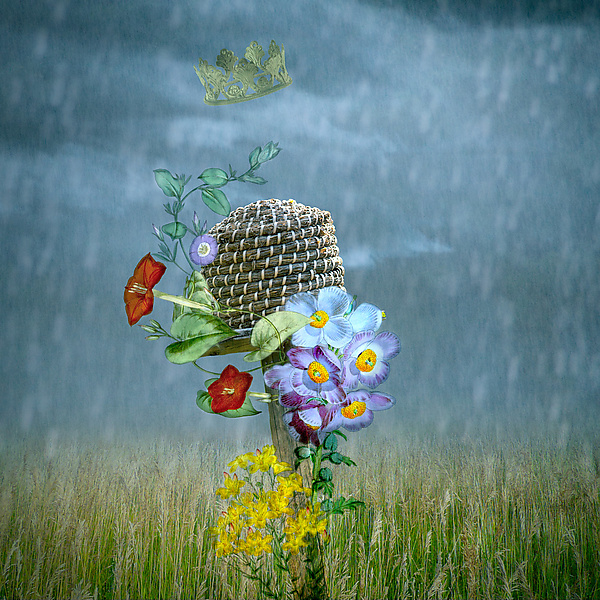 Apiary 1 by Patricia Barry Levy (Pigment Print) | Artful Home