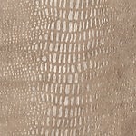 Cream Shimmer